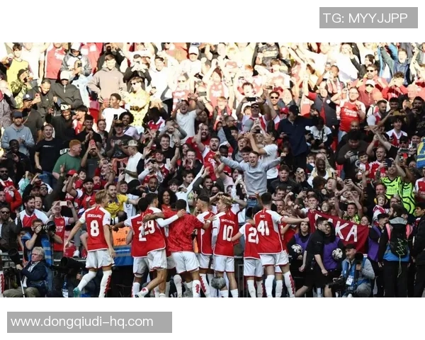 足总杯精彩对决阿森纳逆转那不勒斯全场沸腾战术解析